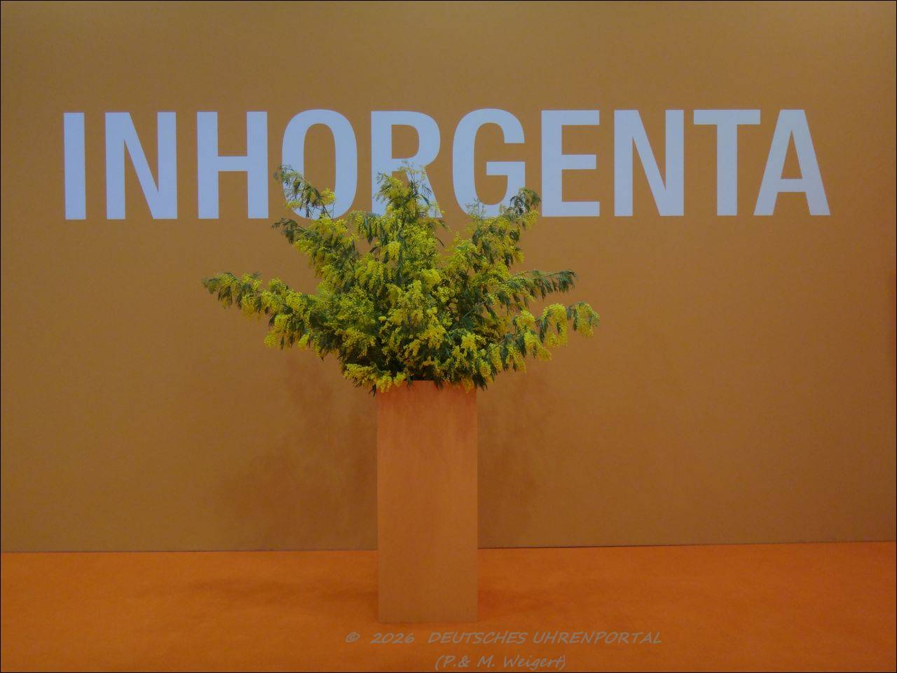 Inhorgenta 2026: Zahlen – Fakten – Eindrücke